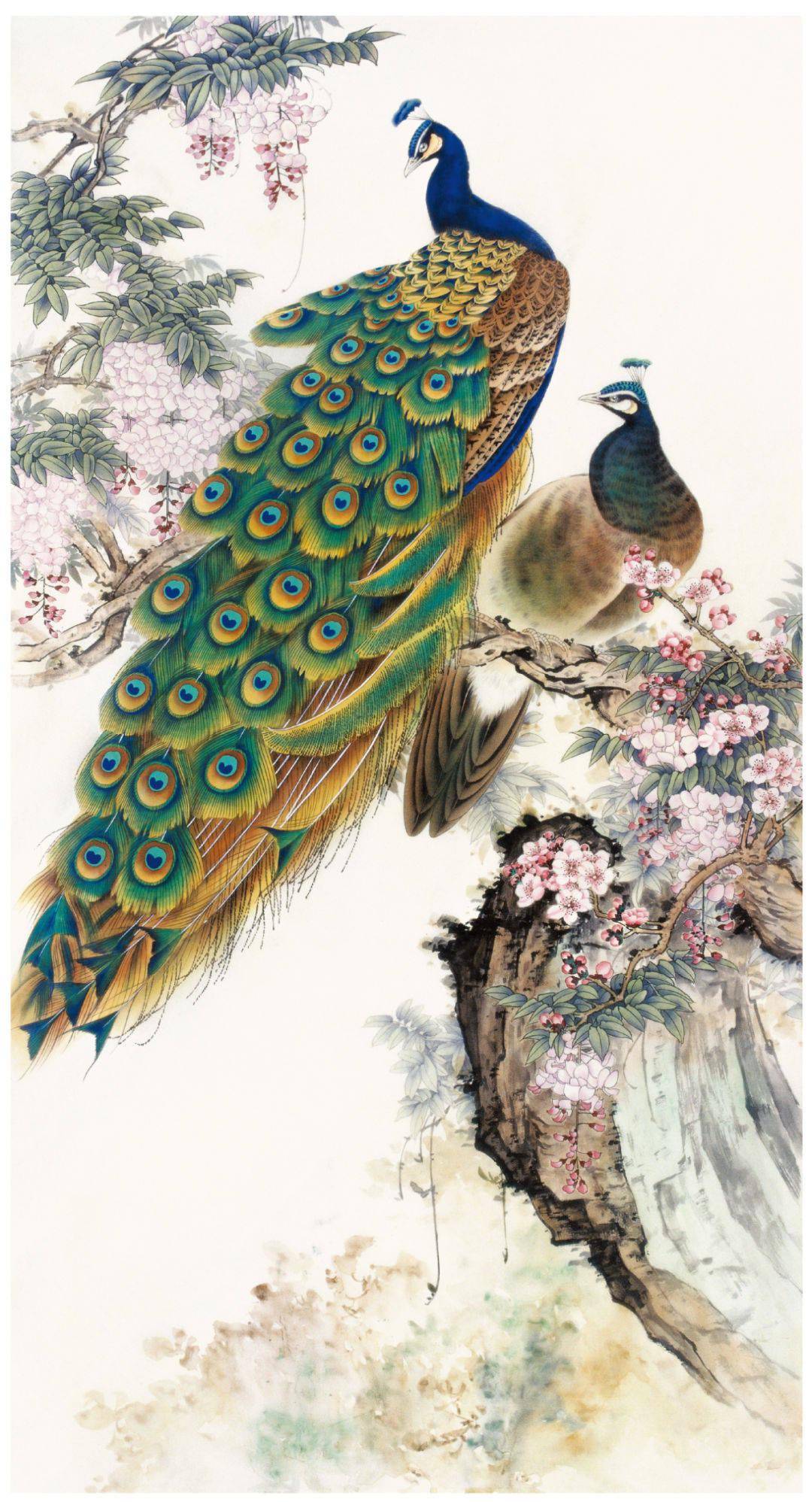 【教程】陈军《花开烂漫》绘制步骤_孔雀_叶子_羽毛
