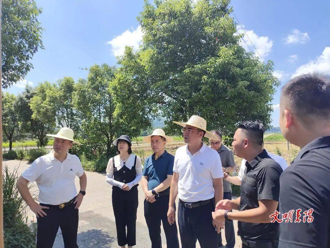 7月22日,市委常委,副市长尹建恒到马水镇,亮源乡
