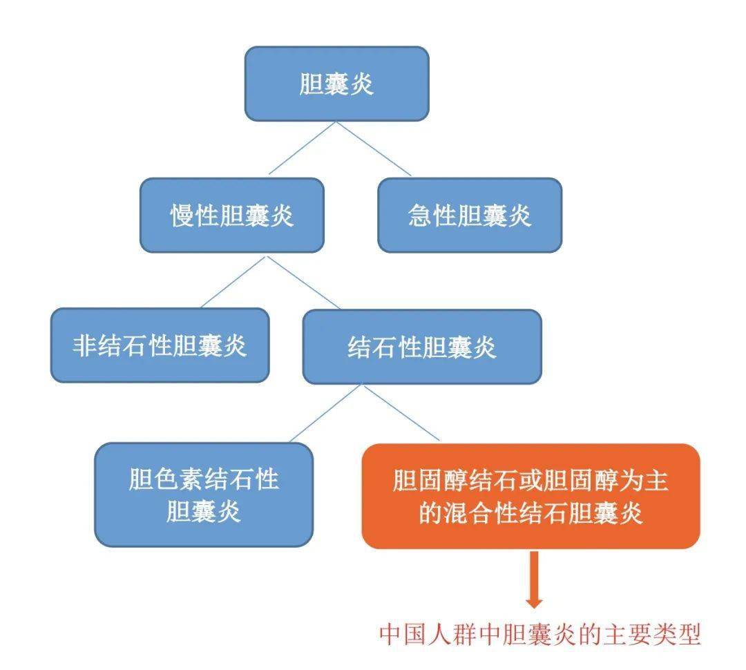 胆囊结石临床表现图片