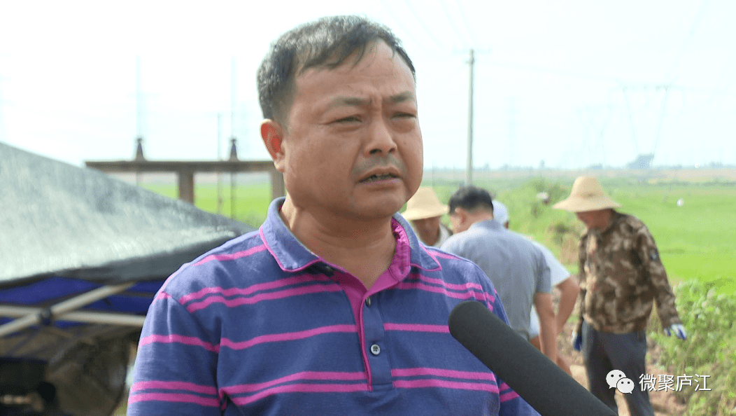 白山镇_庐江县_抗旱