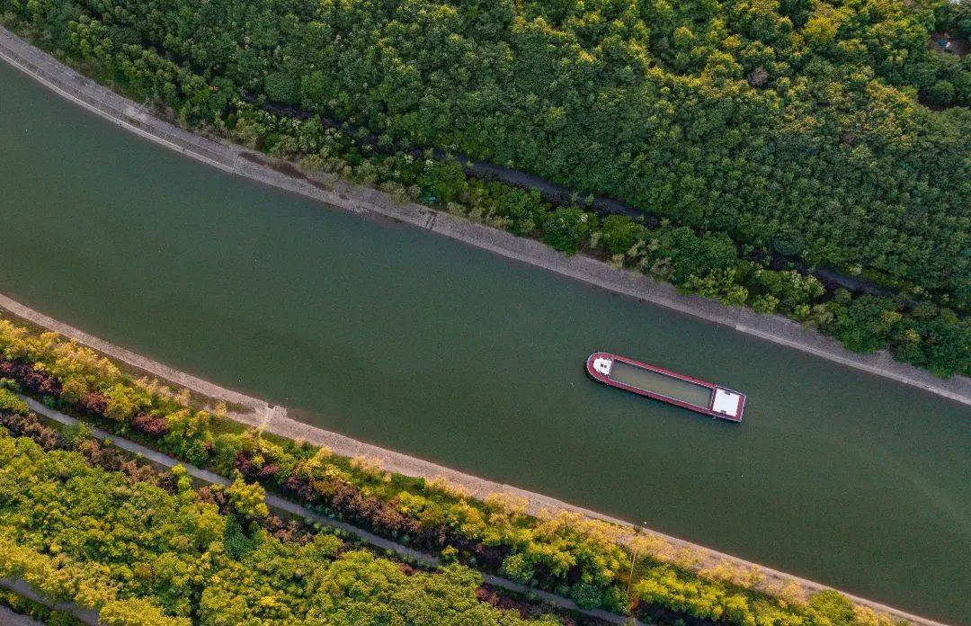 极美雨花秦淮新河
