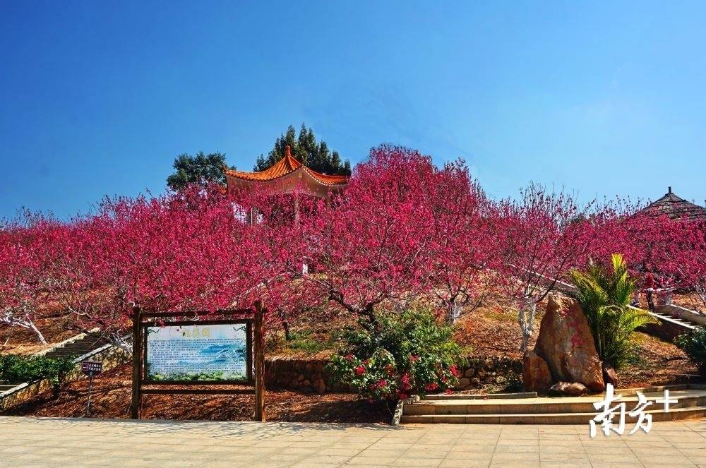 郁南县大王山国家森林公园上榜7条自然教育径等你来打卡