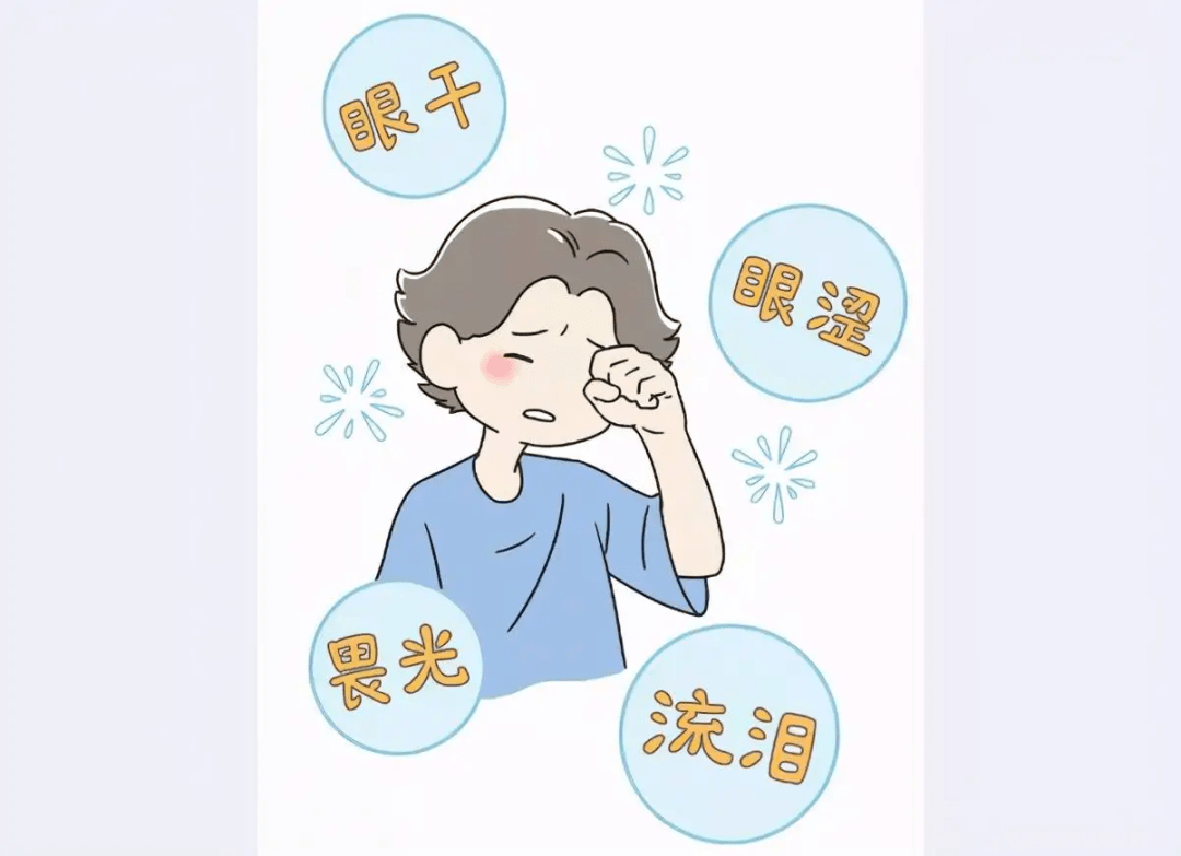 角膜散在的上皮点状脱落,诊断为干眼症,中度