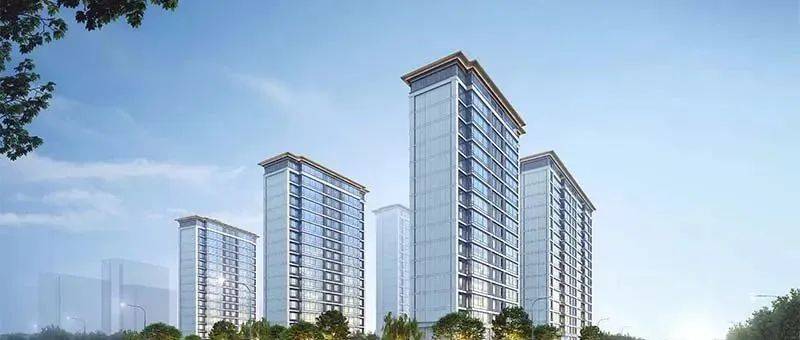 4个人抢1套!河西南热盘报名结果出炉_金鼎湾_建面_装修