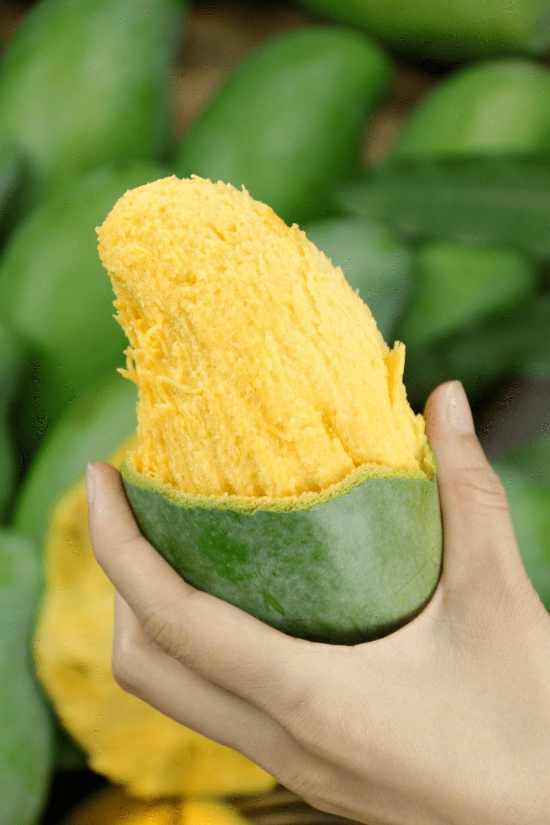 农业补贴广西桂七香芒5斤只要229元甜度20以上