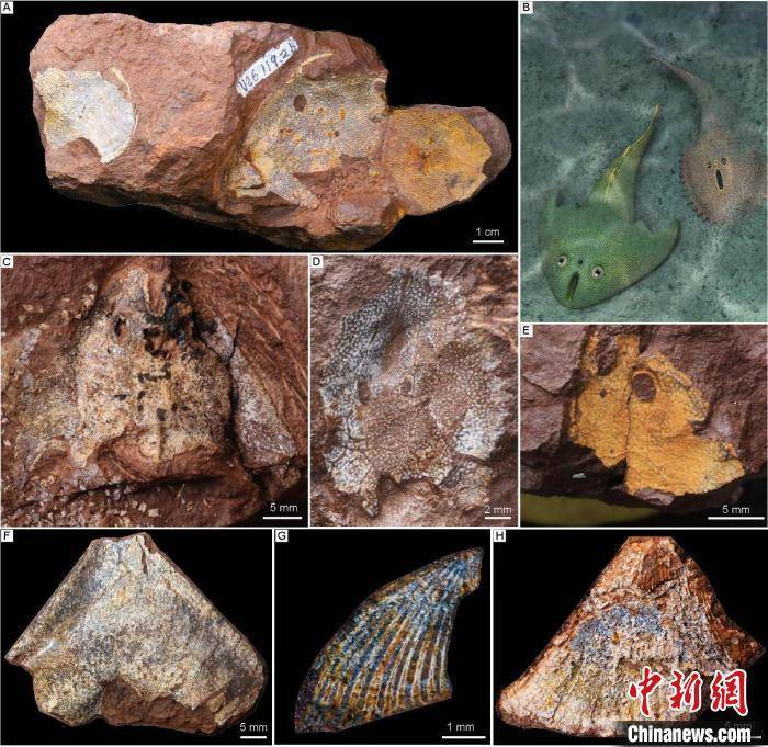 河北卫健委,10月10日0—24时,河北省无新增新型冠状病毒肺炎确诊病例