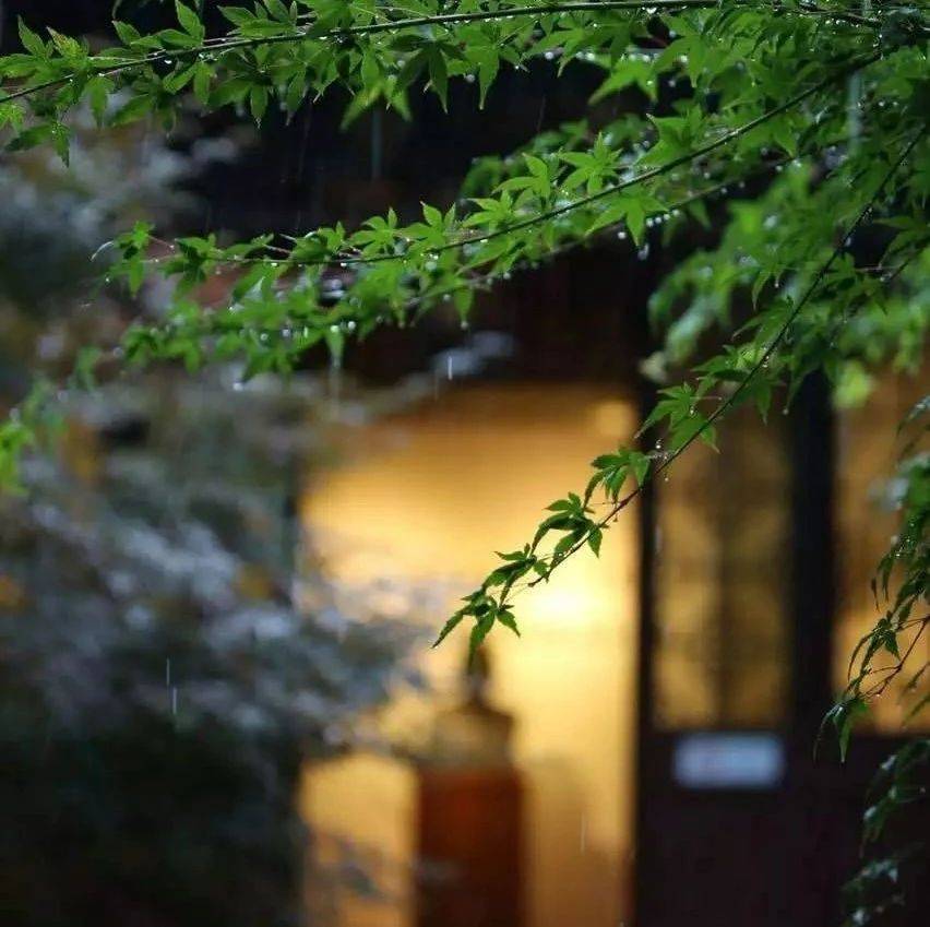 夏天的雨，落在古诗词里，醉山水，亦醉流年_夏雨_黄梅县_池塘