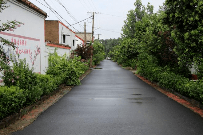 满意张汪张汪镇开展第二次人居环境综合整治观摩评比活动