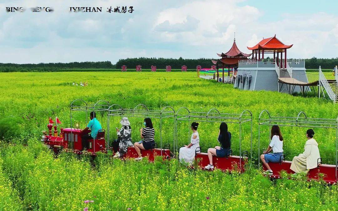大庆夏行2林源小镇油菜花开的美丽乡村