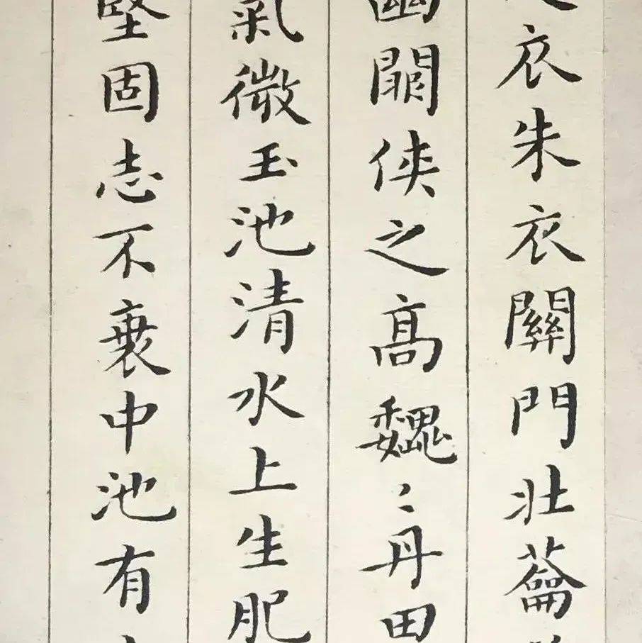 一位被历史冷落的大书家,启功评