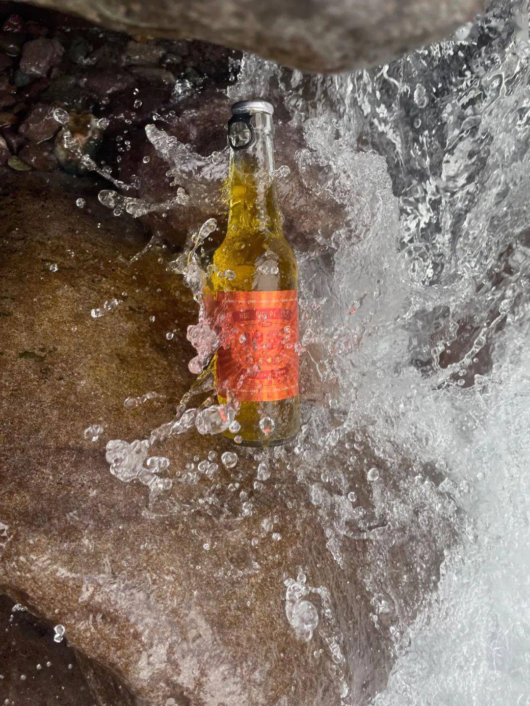 记忆中的味道啤露回来啦