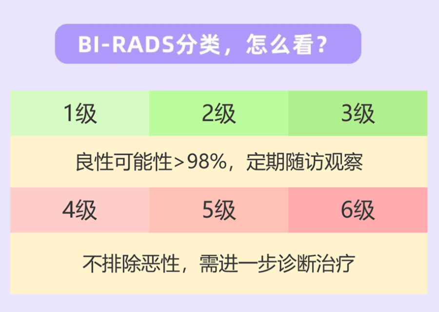 birads3类是什么意思图片