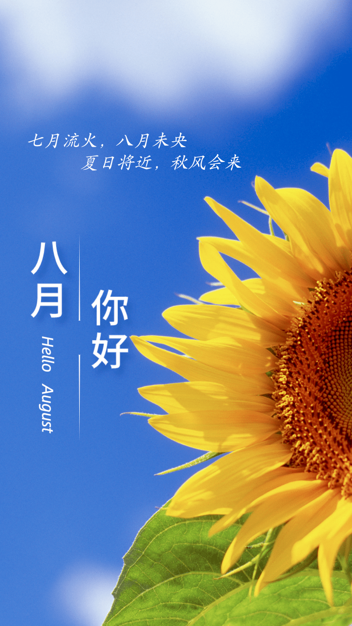 迎接8月的超赞发圈海报文案合集!