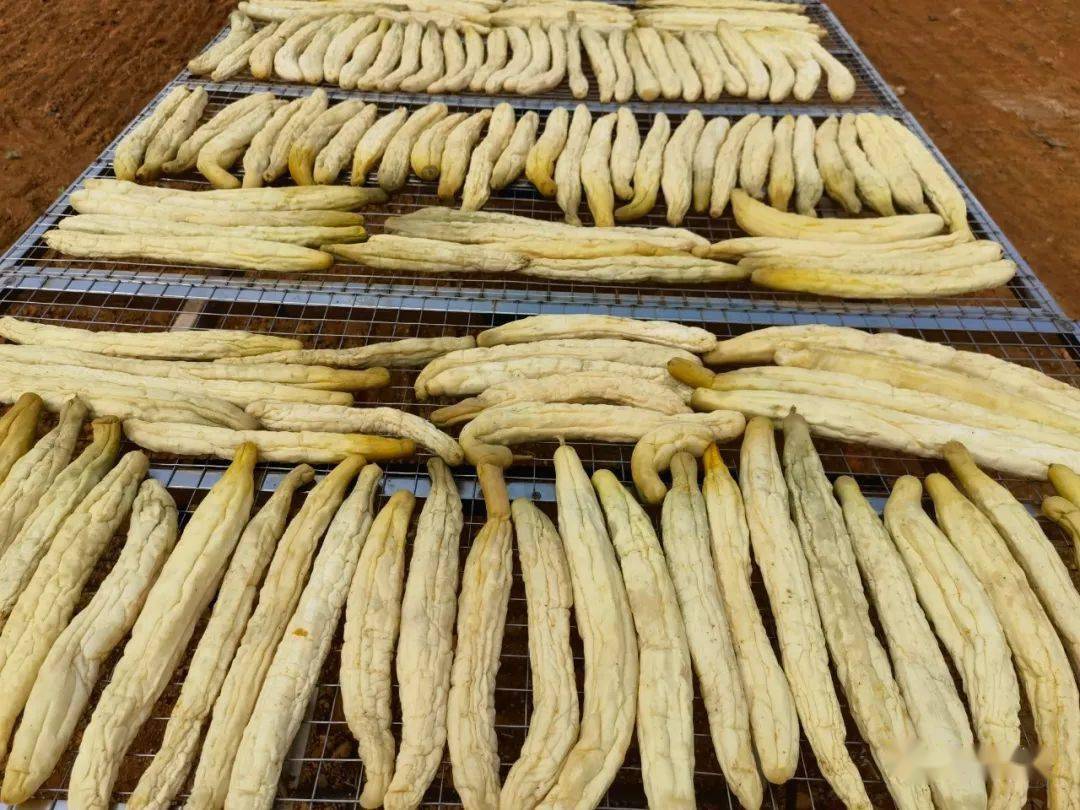 特色产业小小笪桥黄瓜干成为亿元大产业