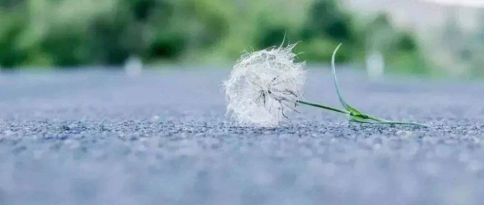 有一种命，叫靠自己！_世界_难题_命运