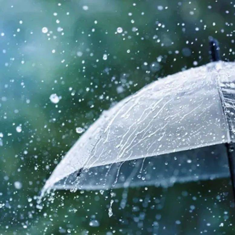 雨雨雨不停_天气_地区_阵雨