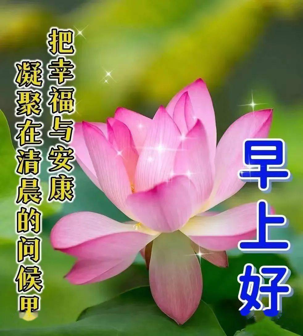 【早安馨語】願你幸福快樂每一天!_問候_平安_祝福