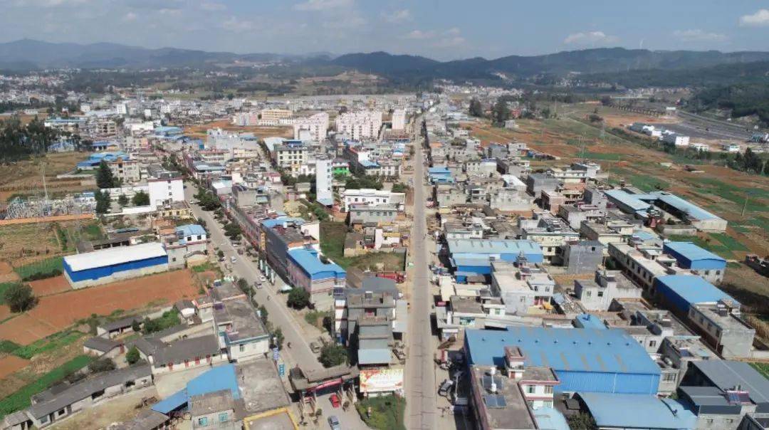 仁兴镇:不忘脱贫攻坚奋斗路 再迈乡村振兴新征程_农村_全镇_种植