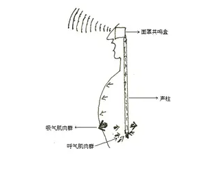 使声音听上去浑厚有力,增加了声音的厚度和立体感