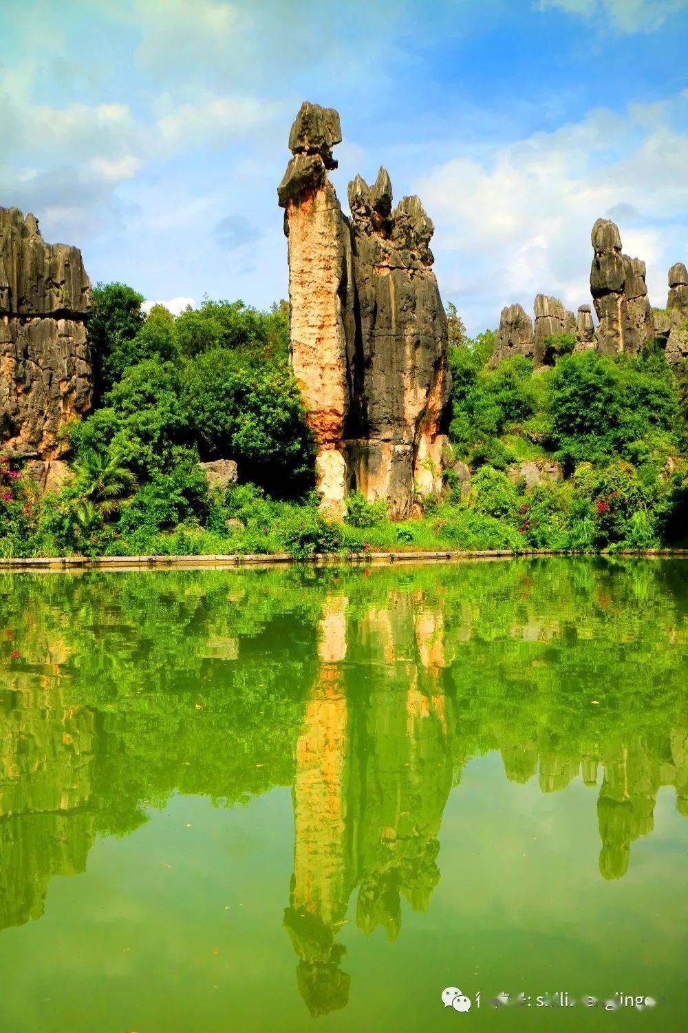 (所文亮摄)(供稿:石林景区)图文发表于"石林风景名胜区"微信公众号