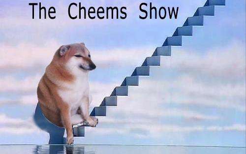 这只狗,是我的互联网替身_Cheems_Doge_年轻人