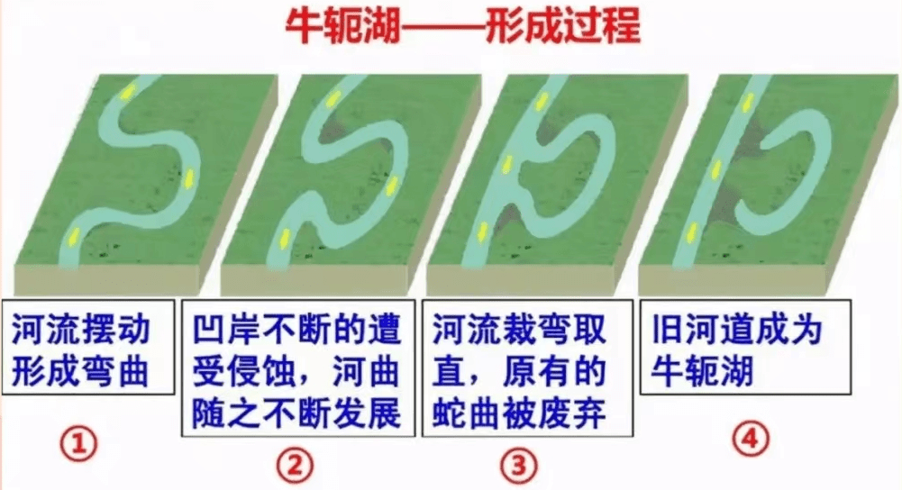 微视频 | 河曲和牛轭湖的形成_建群_答疑_服务