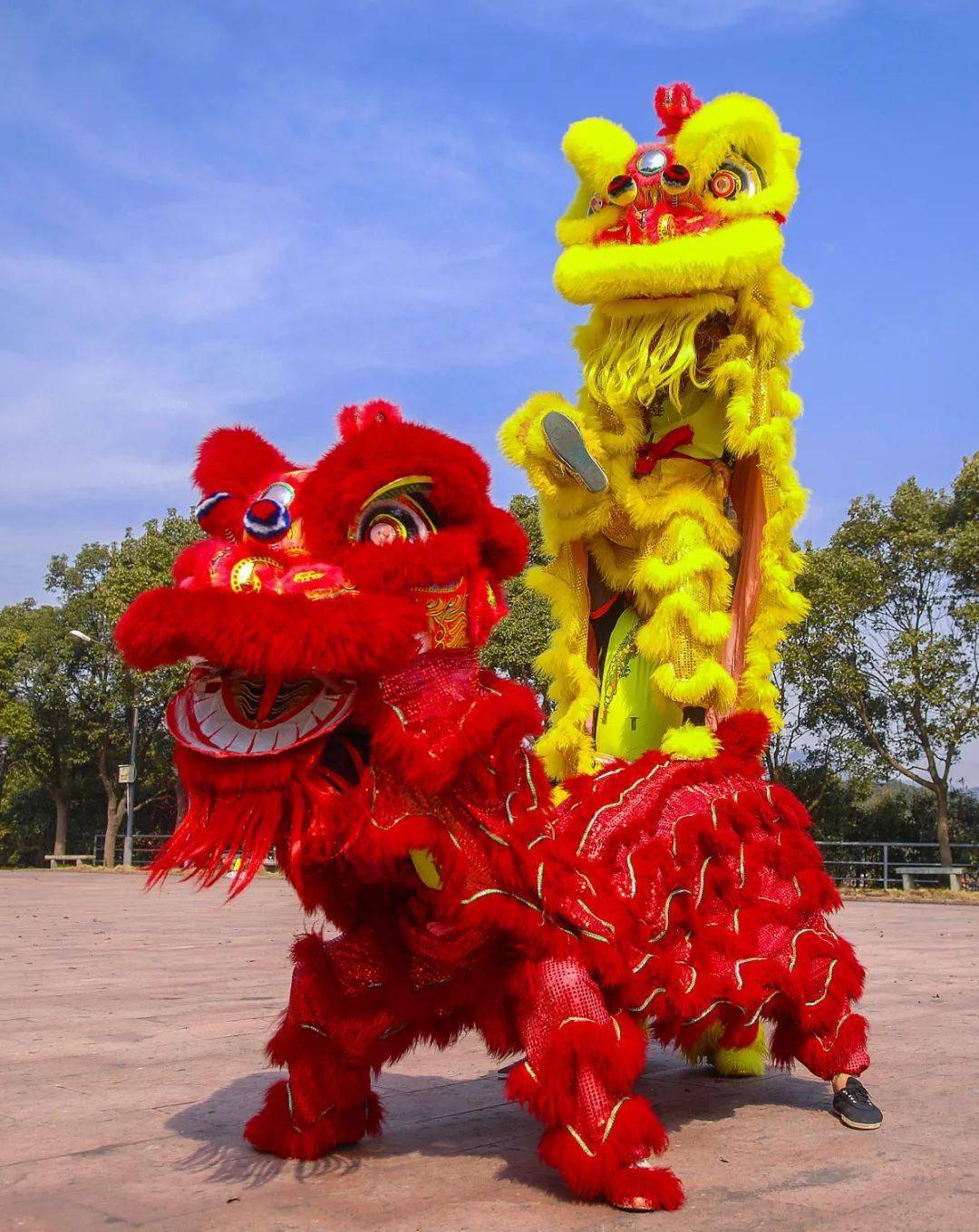 梅山南北狮王争霸赛梅山岛依山临海,风光旖旎,孕育出了浙东海洋文化