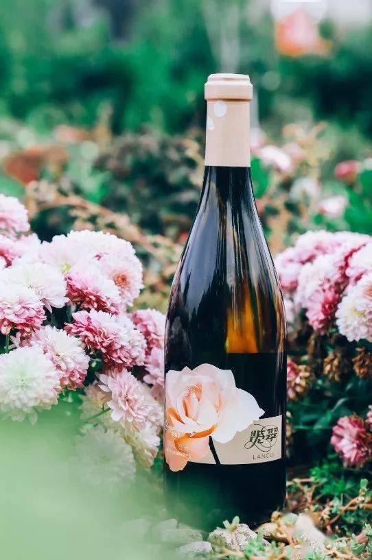 品匠心独酿的甘露酒液解读贺兰山东麓最纯粹的风土