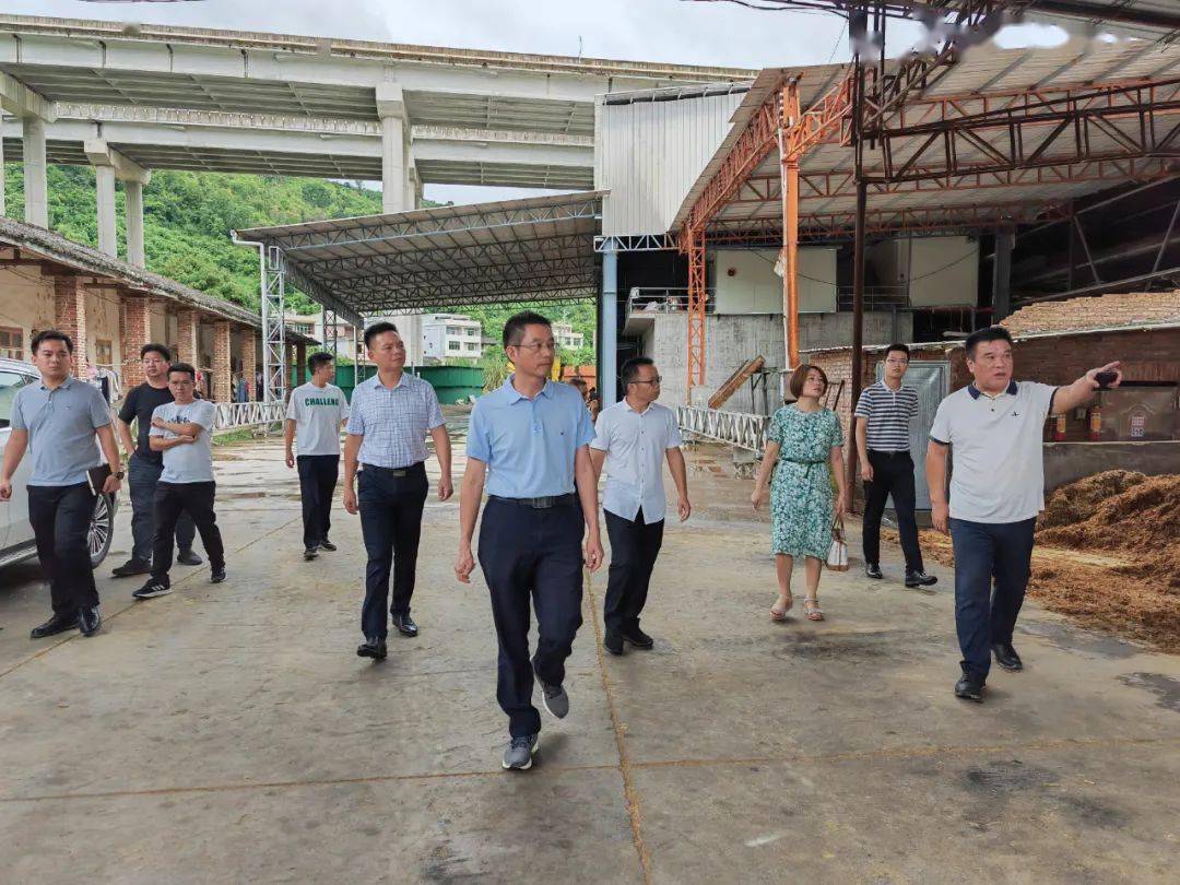 在九峰镇陈彩村,黄永健先后查看了漳州市宏顺纸业有限公司,平和县祥凯