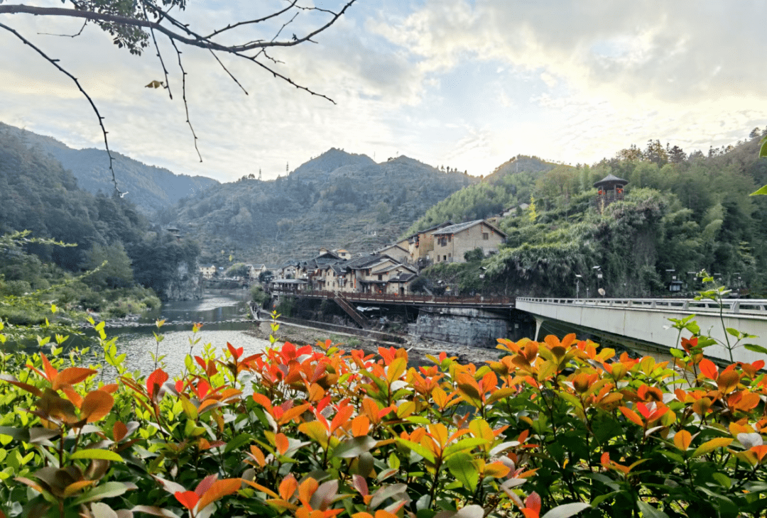 抓营销拓市场 红色下党迎来旅游发展新契机_寿宁县_客源_核心