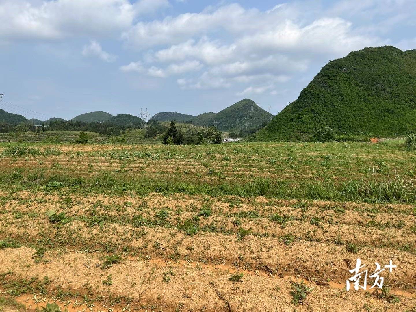 乐昌云岩镇撂荒耕地展新颜产业振兴添活力