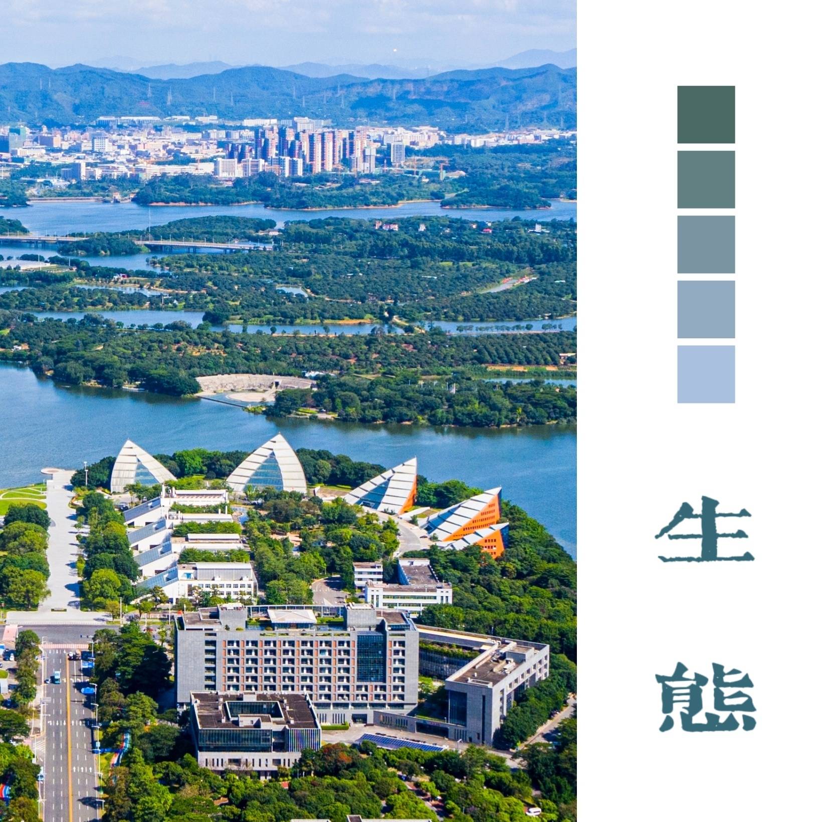 多彩 松山湖 大学生眼中的创新之城 科学 刘远忠 青春