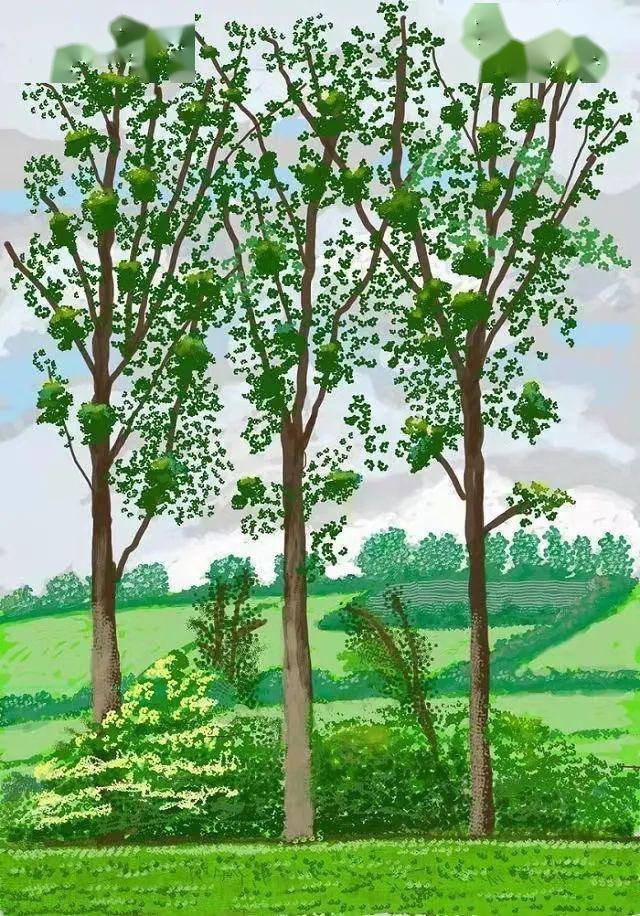 大卫·霍克尼笔下的油画春天:我曾对春天的到来感到好奇