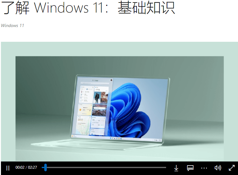 看完穀歌給Win11寫的新如是說
，我始終如一了不升級換代的設想