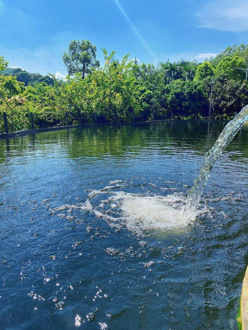 山泉水引入泳池山泉水游泳池里游玩还可以在景区里的除了漂流之外感觉