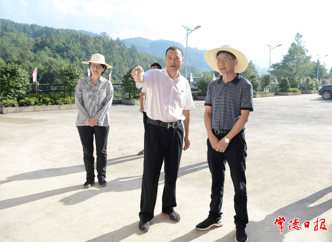 8月5日,曹志强在罗坪乡大房峪村调研巩固脱贫攻坚成果与乡村振兴有效