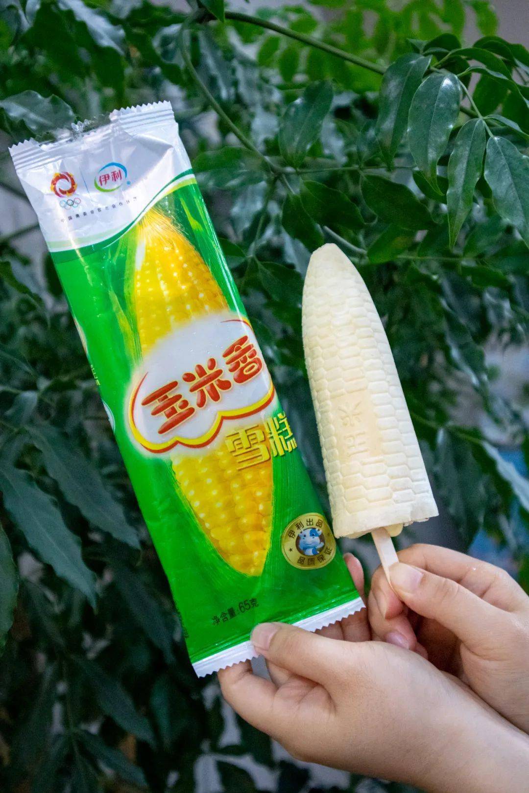 能唤起峨眉人童年回忆的18款雪糕你都吃过吗