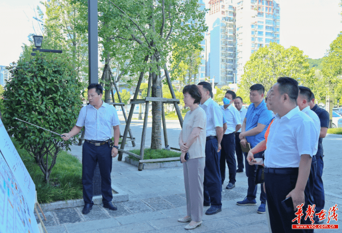 首届湖南旅游发展大会组委会办公室赴张家界实地办公
