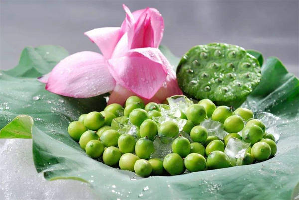 何以解燠暑,莲子清如水_莲蓬_荷叶_荷花