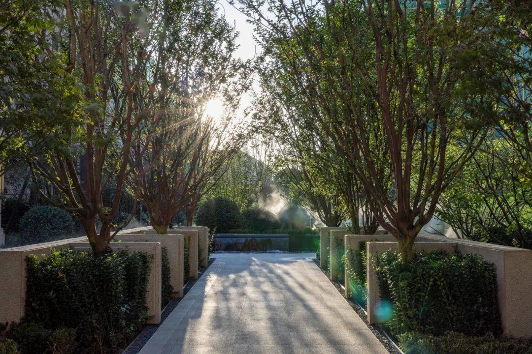 干货丨园路中的那些列植设计