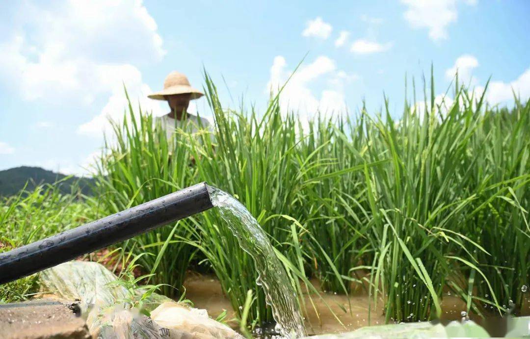 松桃:小水库润泽大民生_灌溉_水稻_村民