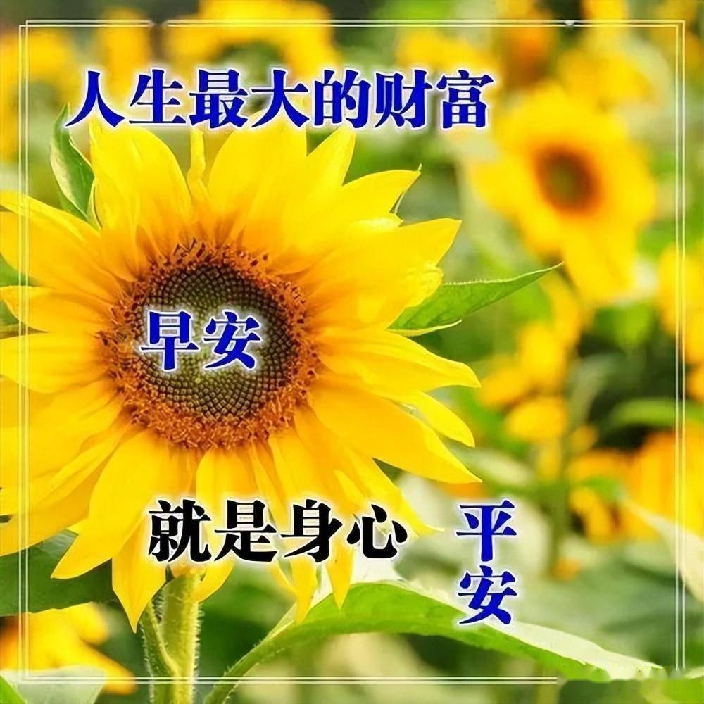 早上好祝福牵挂的图片图片