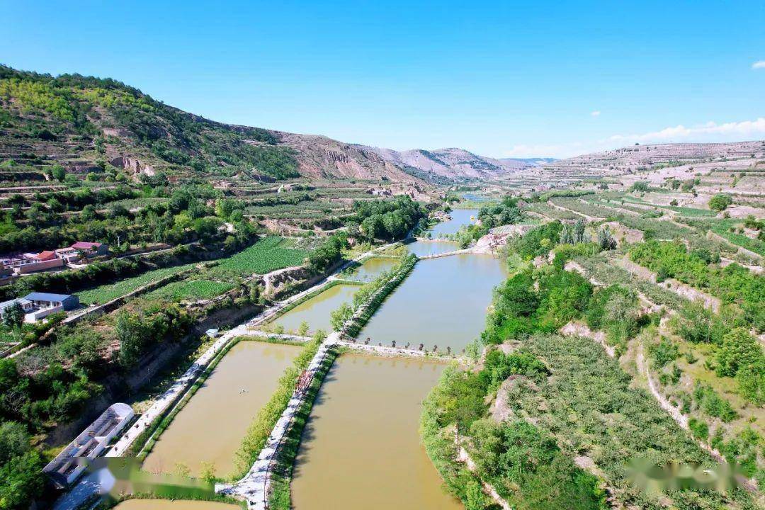 静宁县丨赴仙鹤谷景区,共享森林康养_爱好者_运动_山水