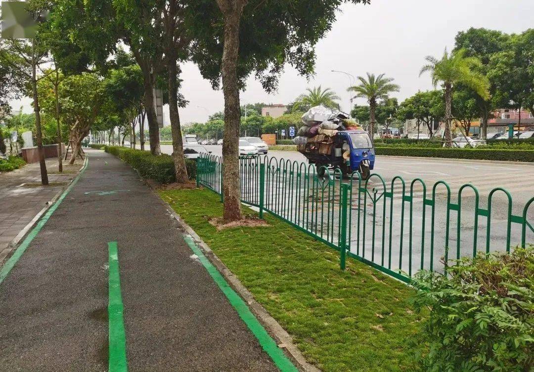 15米绿地离奇"失踪"?_执法_公路_市交通局