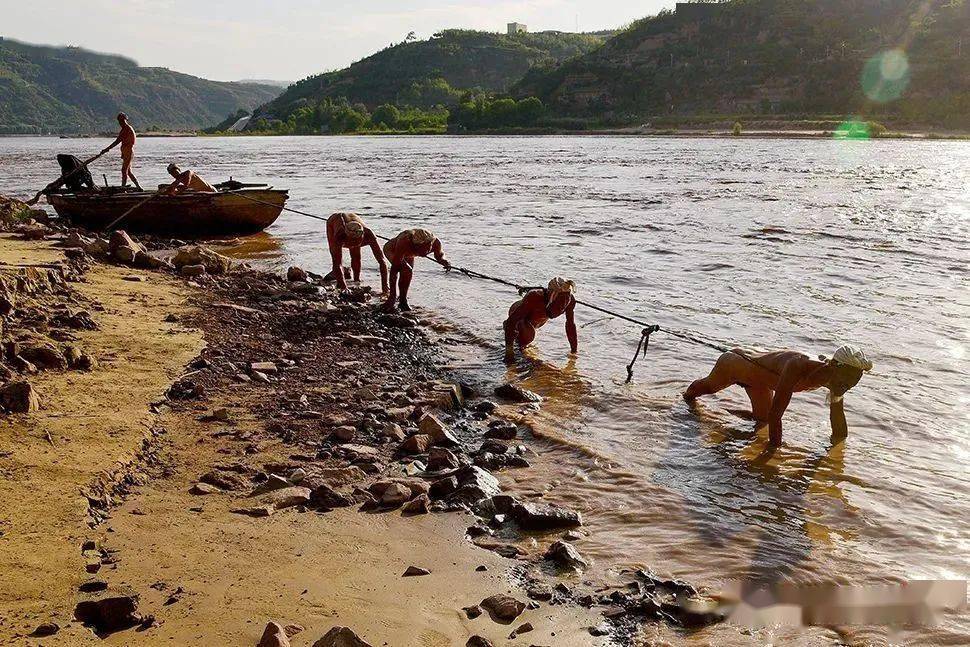 《黄河纤夫》王艳秋 摄《纤夫》姚文卿 摄《黄河纤夫》陈汉冲 摄