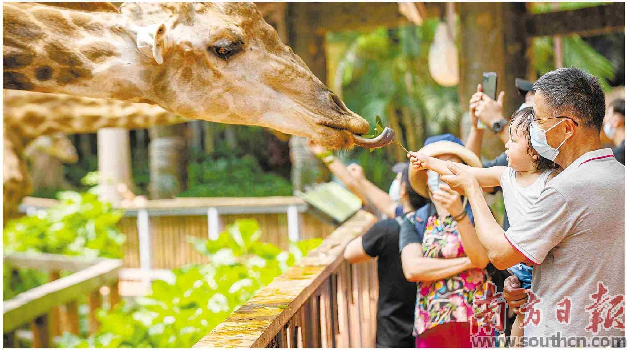 以“消费之手”推动文旅复苏