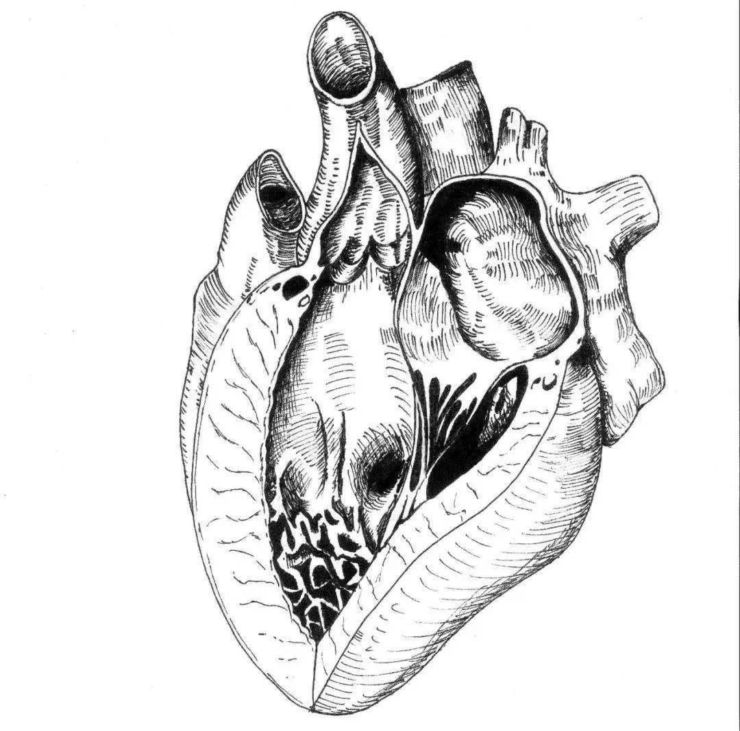nwu医学生居然可以在蛋壳上作画?_西大_雕刻_笔记