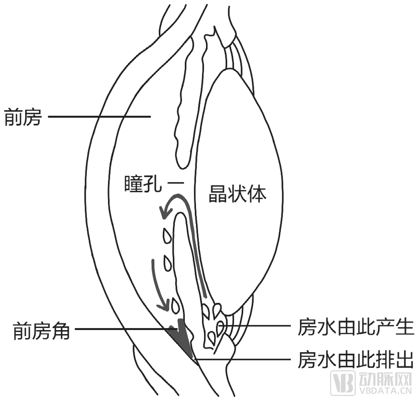 眼科巨头争相投入超50亿元，这一赛道为何突然爆火？