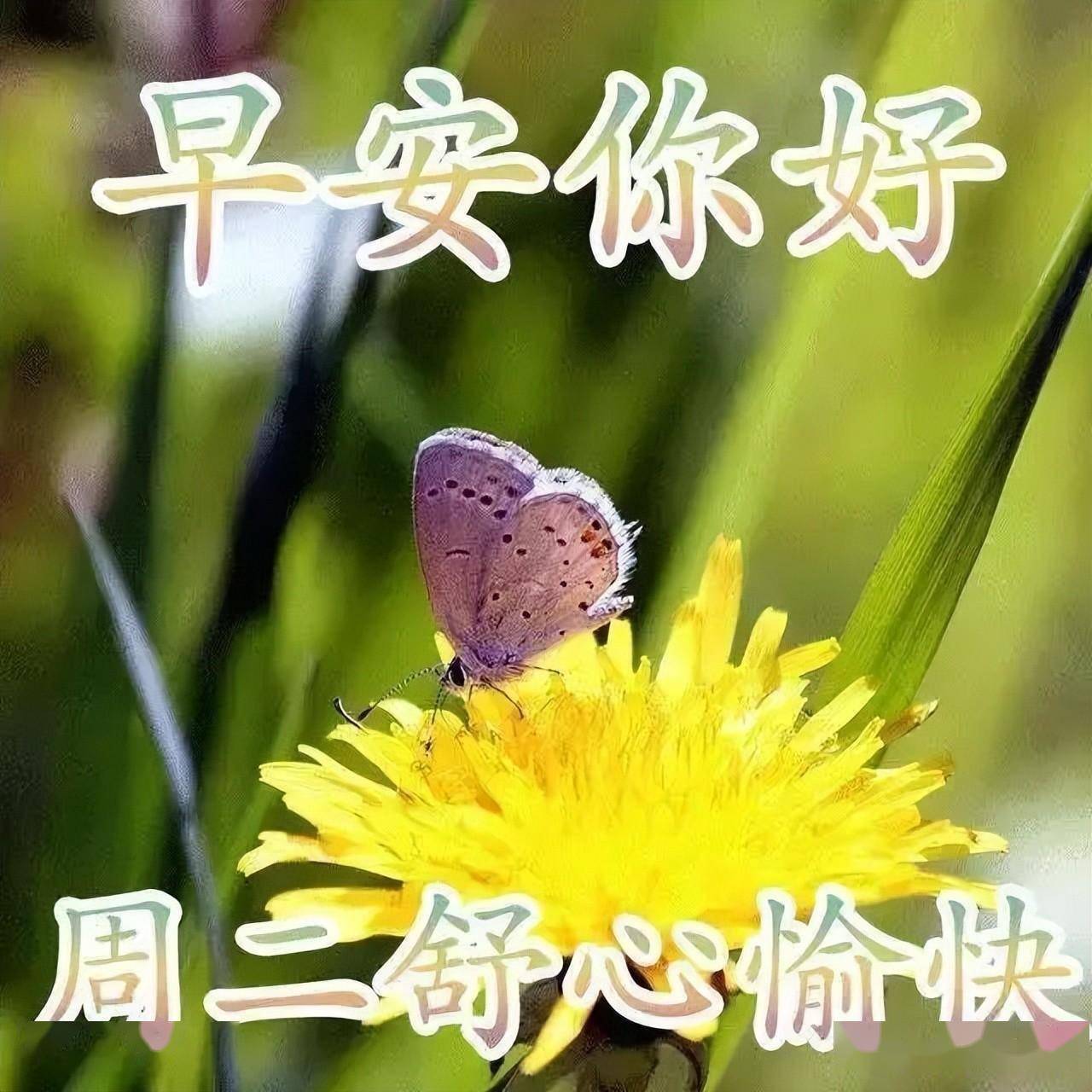 周二早上好表情大全,快乐永不老,健康才是宝,愿你平安每一天_人生路