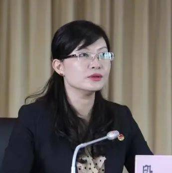 “80后”女厅官段颖,被查!_红河州_党组书记_云南省
